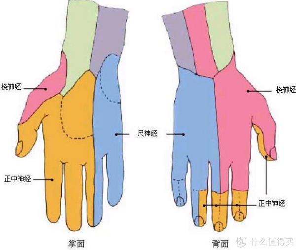 用鼠标小拇指疼_用鼠标手腕疼_长时间用鼠标手腕疼