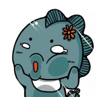 电脑启动黑屏不进系统