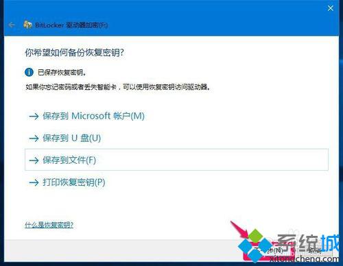 Windows10系统给磁盘加密的步骤8