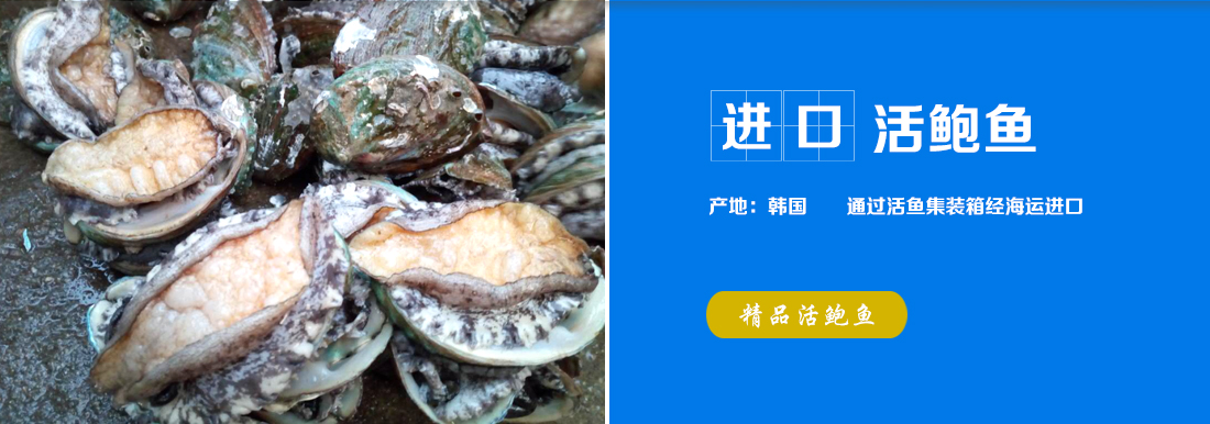 松叶蟹和帝王蟹的区别_帝王蟹鼠标_帝王蟒鼠标