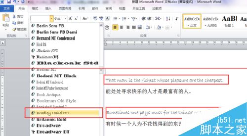 word文档英语字体预览