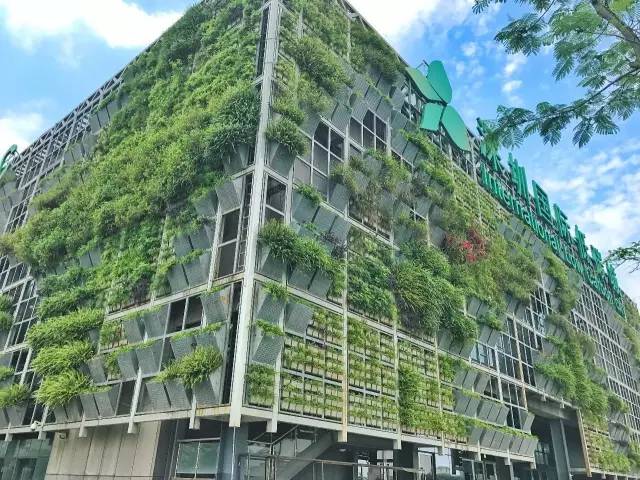 笔记本14寸是多大_17寸电脑是多大_笔记本电脑13寸是多大