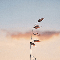 笔记本电脑13寸是多大