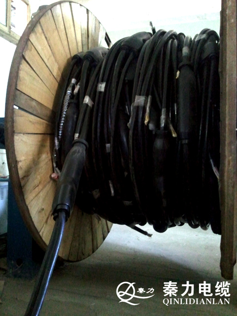 腾达路由强制进入器_撕裂重罪1091联网器下载_电脑怎么用路由器联网