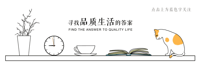 狼蛛入门级机械键盘
