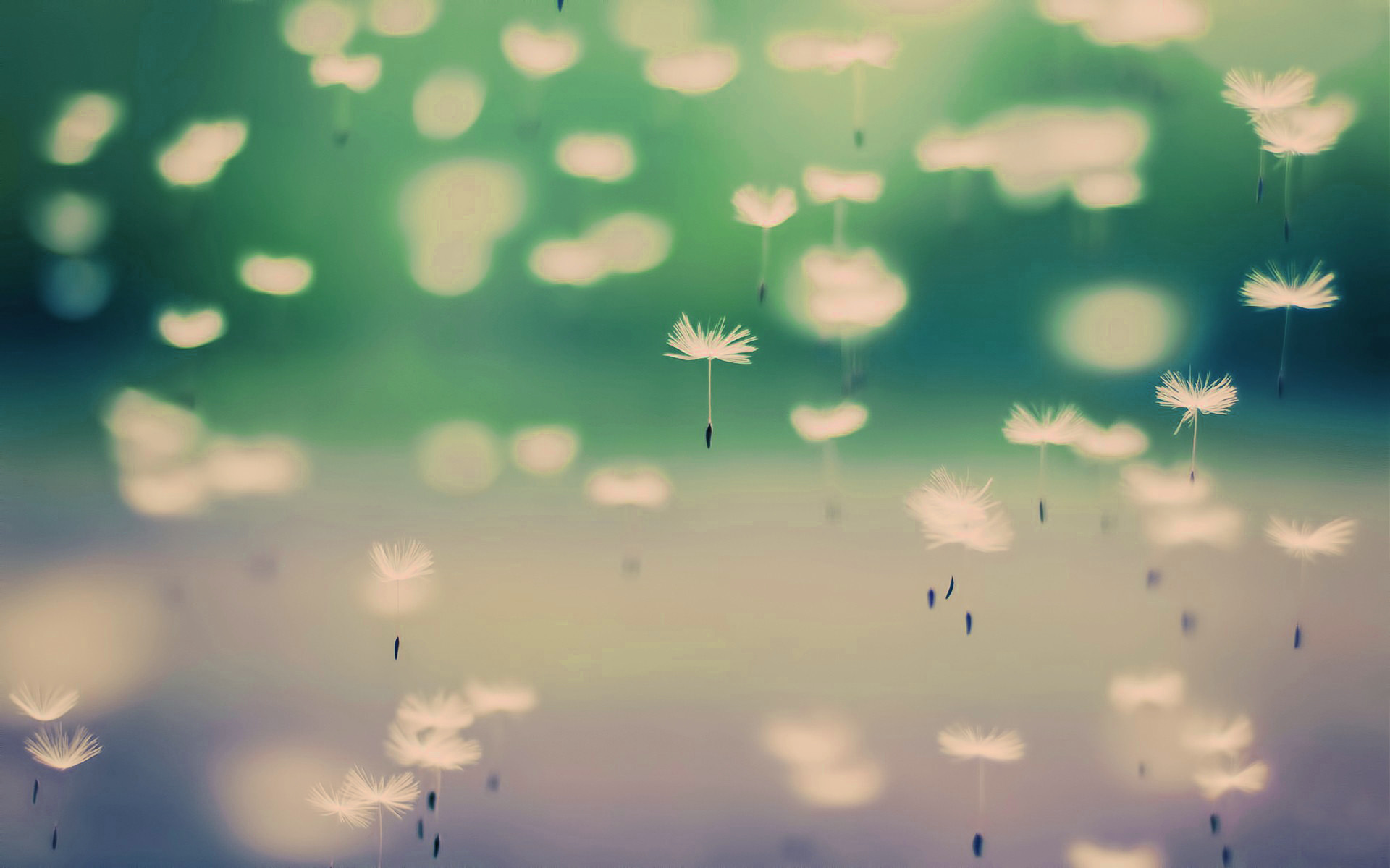 电脑高清壁纸桌面_笔记本电脑桌面壁纸的大小_笔记本壁纸桌面