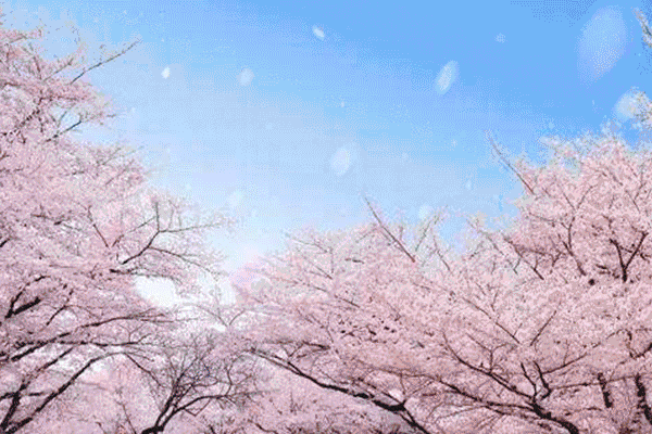 win7桌面动态壁纸不动_动态壁纸电脑桌面下载win7_win7动态壁纸电脑桌面下载