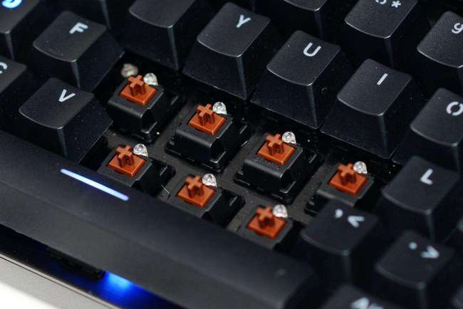 机械键盘轴的区别视频