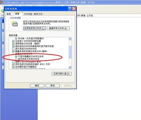win8 显示文件扩展名_win8系统搞定扩展显示器将笔记本屏幕连接到大屏幕_扩展名为exe是什么样的文件