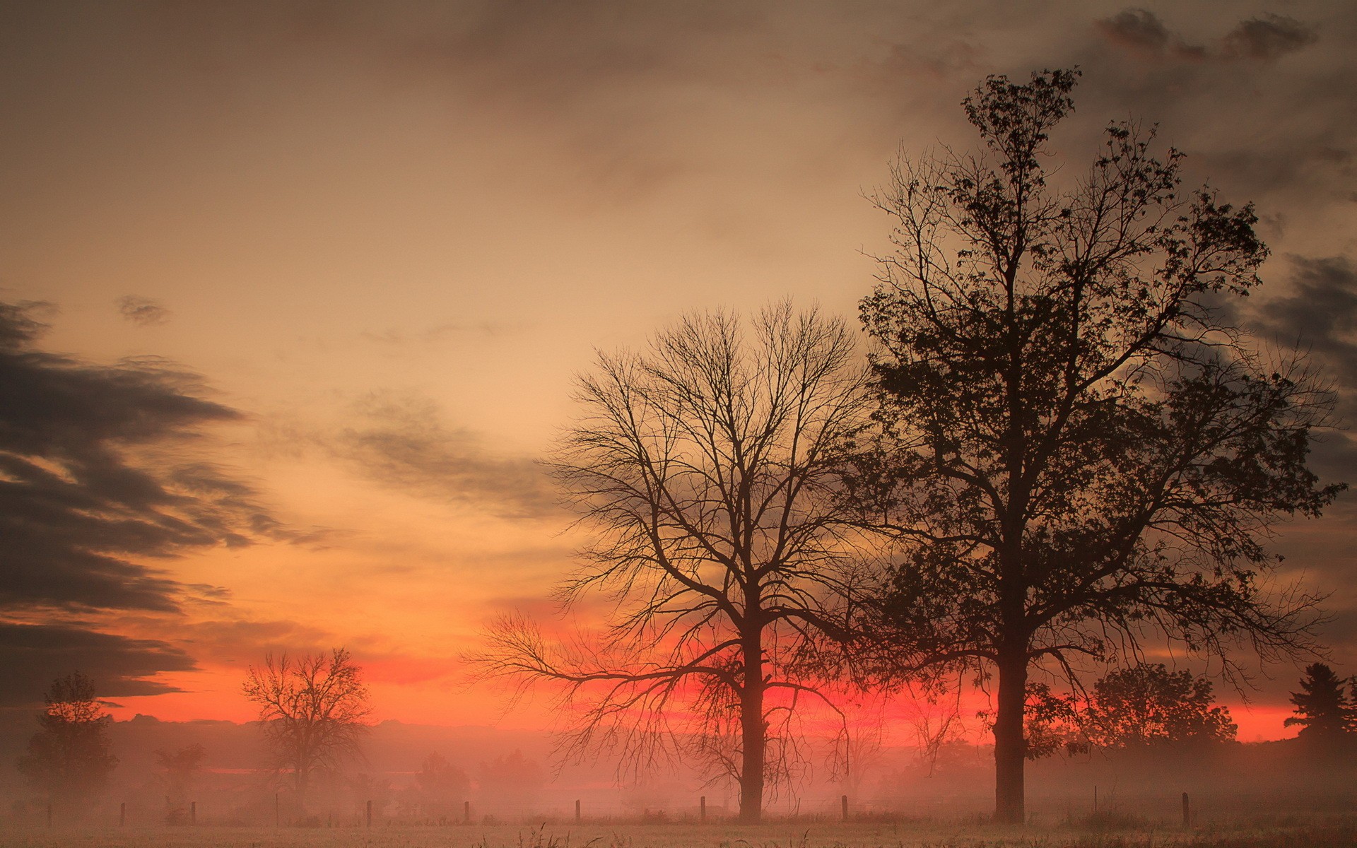电脑换壁纸软件哪个好_笔记本电脑换壁纸_笔记本换显卡