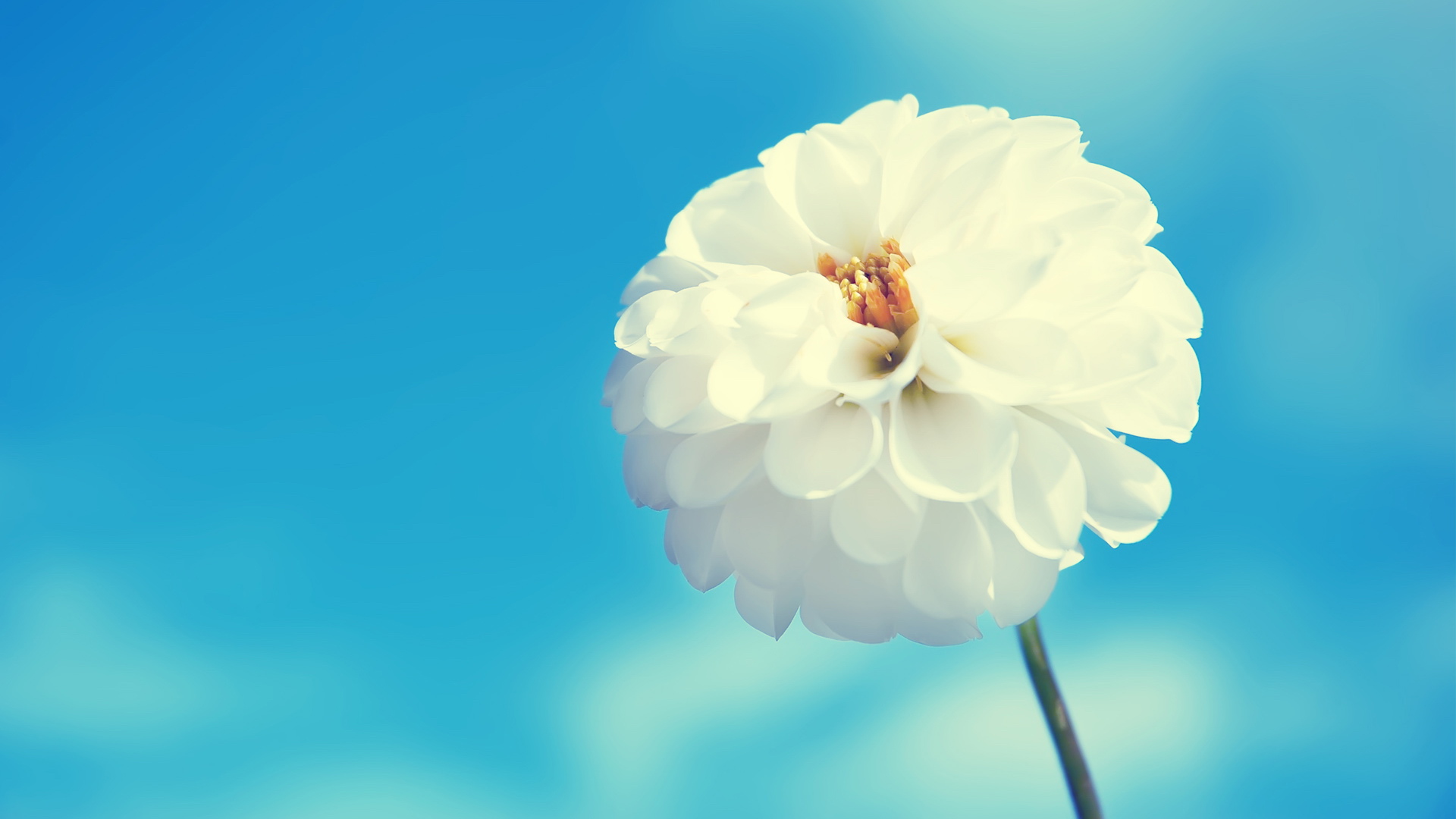 笔记本换显卡_笔记本电脑换壁纸_电脑换壁纸软件哪个好