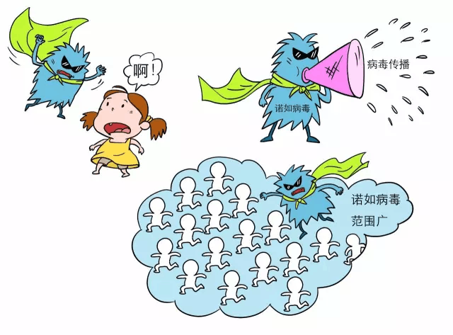 手机木马病毒查杀_电脑病毒的分类与查杀_u盘病毒查杀