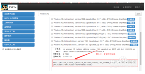 怎么下载win10系统？msdn官网下载win10系统技巧6.png