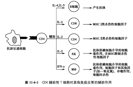 超级巡警之u盘病毒免疫器_超级巡警之u盘病毒免疫器绿色版 v15_u盘之家启动盘制作工具 v15