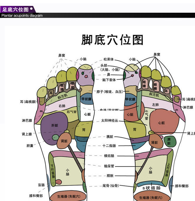显示器玻璃_宇通玻璃自动爆破器_剪贴板查看器只显示一个