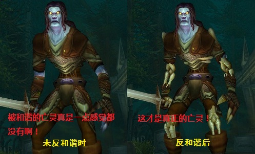 魔兽混沌世界1.3攻略_魔兽稀有精英世界任务_魔兽世界不兼容win10吗