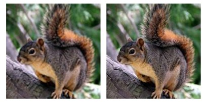 考试用照片压缩工具_微信资源压缩打包工具_图片压缩减肥工具