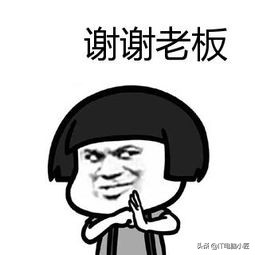 装电脑显卡选哪个牌子的好？小白简单易懂的装机显卡指南