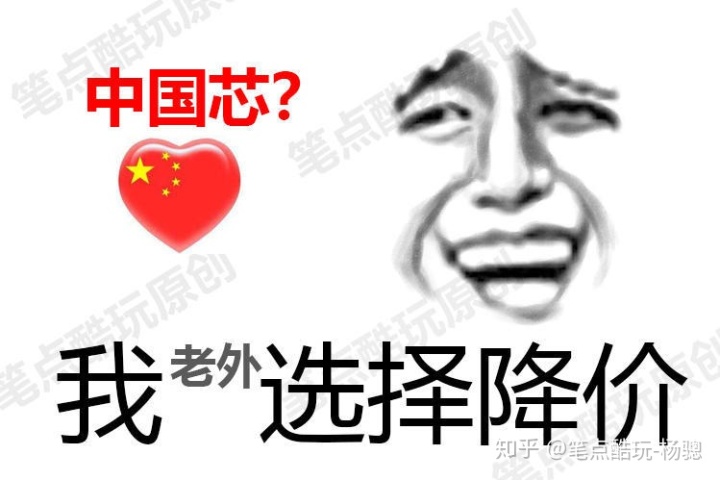 国产内存品牌