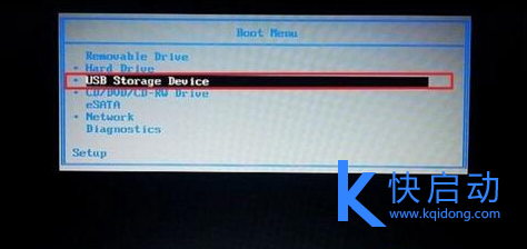 选择u盘启动项