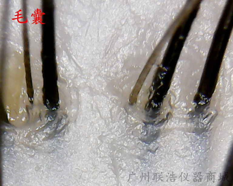 如何用u盘破解wifi密码_xp密码破解工具 u盘_xp密码破解工具 u盘