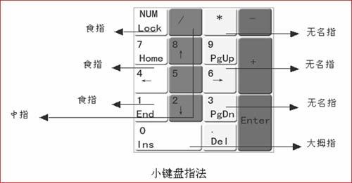 键盘指法练习打字