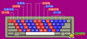 键盘指法练习打字