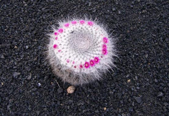 怎么把主板弄坏不留痕迹