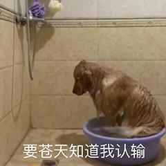 excel画流程图