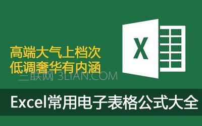 Excel常用电子表格公式大全 三联