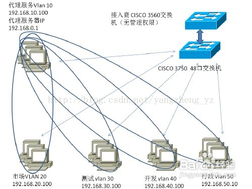 猫 路由器 交换机