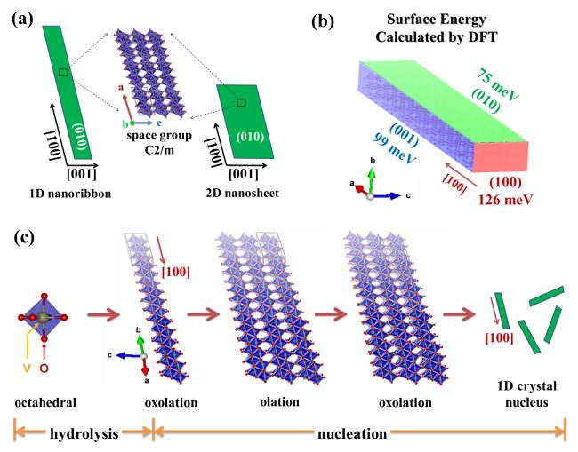 amd显卡和nvidia显卡哪个好_nvidia显卡_nvidia下一代显卡