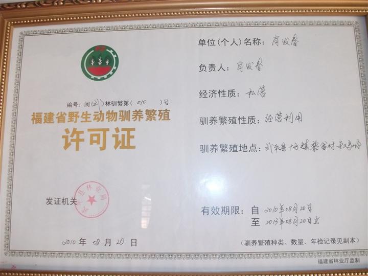 苹果5k显示器价格_苹果5k屏幕显示器_苹果imac一体机 27寸5k
