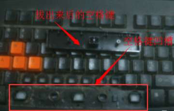 樱桃键盘空格键怎么装
