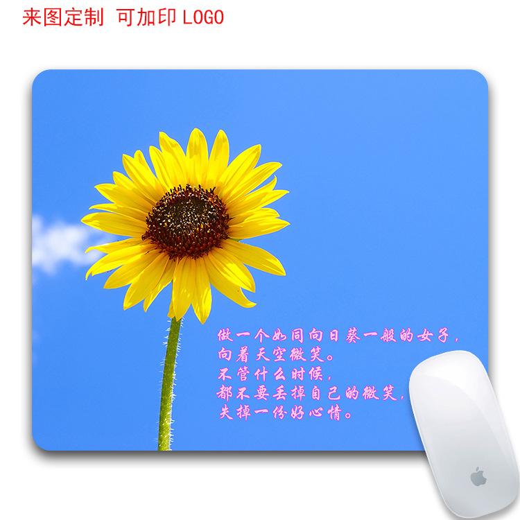 向日葵 用鼠标_向日葵叶的用_向日葵远程控制鼠标