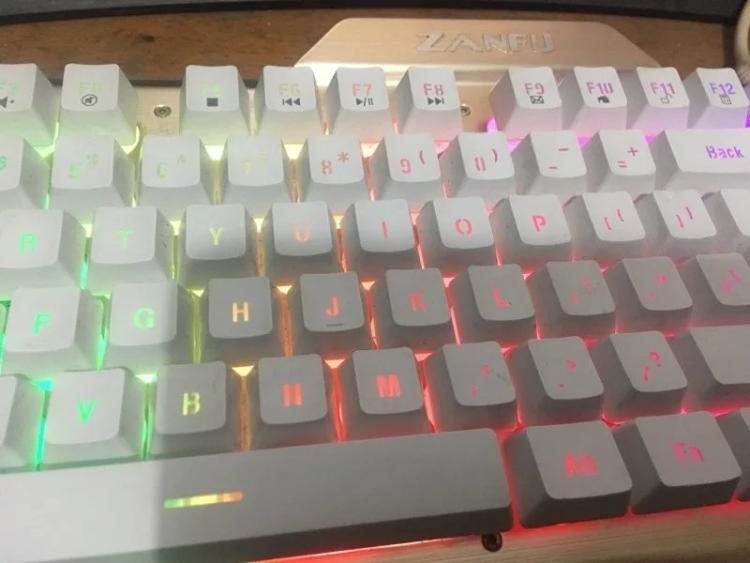 机械键盘狼蛛_狼蛛是机械键盘么_狼蛛键盘是机械键盘吗