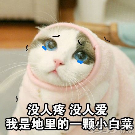 u盘芯片测试工具_台电u盘安国au6983芯片量产工具怎么用_u盘芯片检测精灵 工具