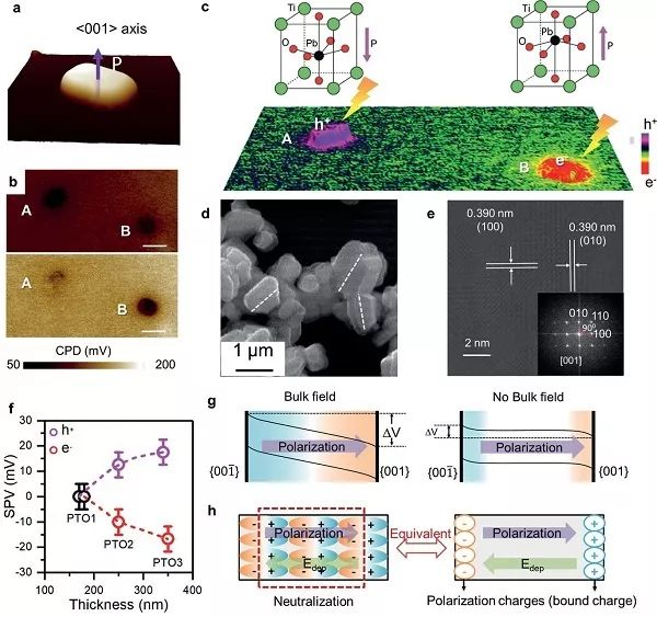 121下载：AMDRadeon9/X系列显卡催化剂官方版