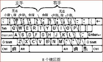 如何快速打字不看键盘_如何熟悉键盘快速打字_如何快速打字不看键盘