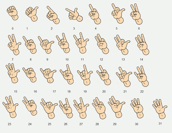 重庆笔记本产业地位_重庆笔记本电脑配套产业园_南昌大学国家大学科技园万年青产业基地 周边配套