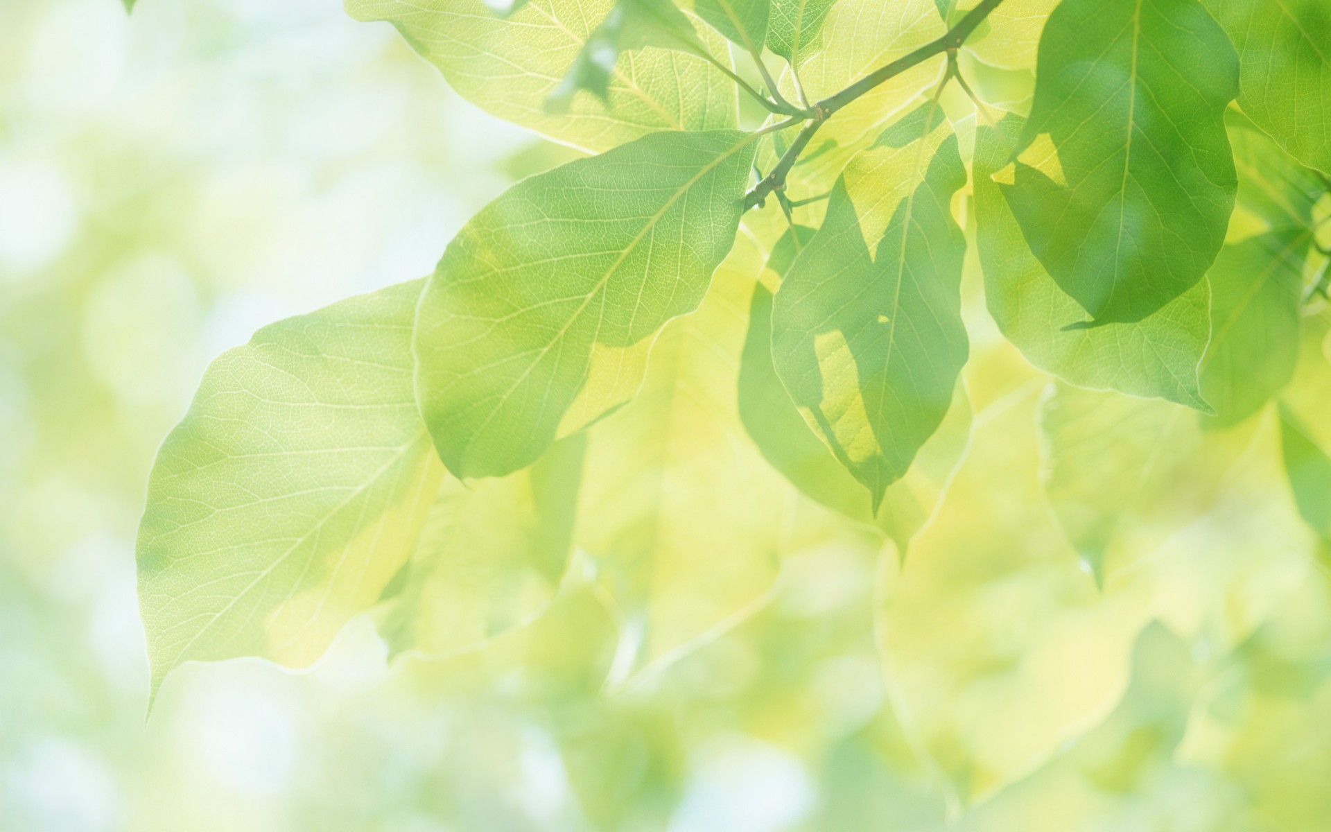 win10原版桌面壁纸_卡通平板壁纸桌面_心情壁纸桌面