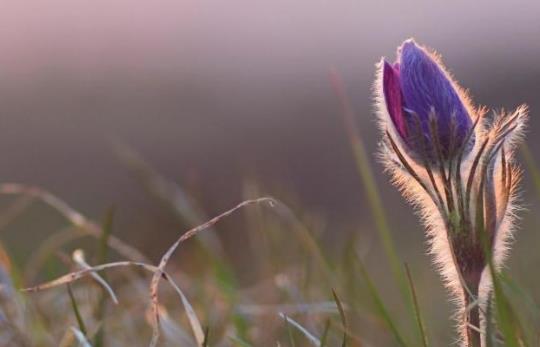 笔记本电脑排线松了