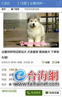qq空间秒赞秒评论系统_qq空间说说秒赞秒评论_qq空间秒赞秒评论软件