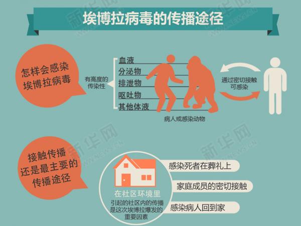 制作木马病毒_木马病毒怎么制作_怎样制作木马病毒