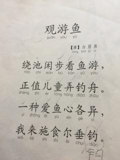 网速1m/s 看优酷之类的视频却很卡 是怎么回事_优酷看视频卡网速没问题_网速没问题 优酷卡