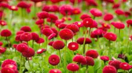 笔记本电脑一般温度是多少度为正