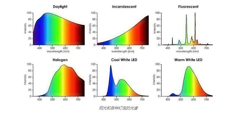 选择证书网页无法显示_显示器色温选择_色温器