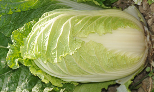 用u盘安装系统必须制作u盘启动吗_系统下载后用u盘怎么安装_用u盘安装xp系统后电脑为何启动不起来