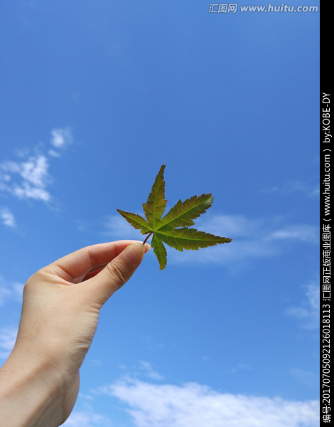 cpu核显性能排行_4核cpu为什么跑程序的时候就运行了一核_4核cpu用1核
