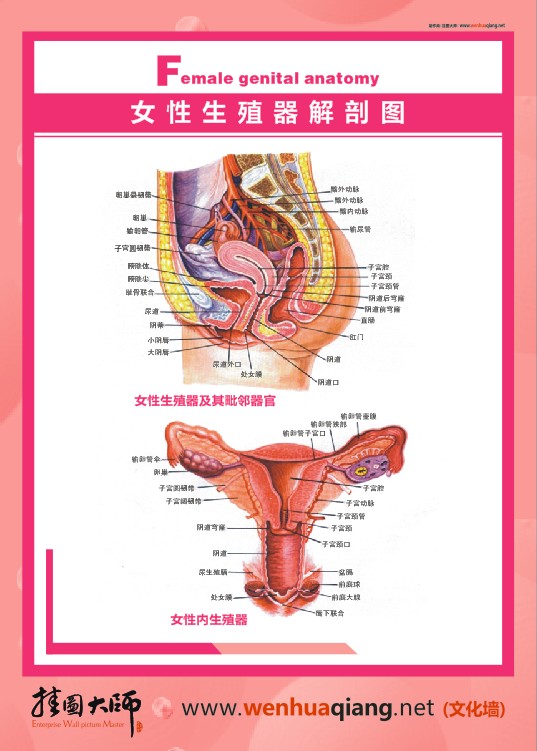 word无法启动转换器word_word文档无法启动转换器_转换word文档